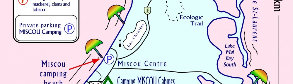 Astonishing discovery, The MENHIR OF MISCOU